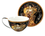Cup and saucer - G. Klimt, Adele Bloch-Bauer, black background (CARMANI)