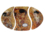 Decorative plate - G. Klimt, 3 parts
