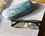 Spectacle case - V. van Gogh, Blossoming Almond Tree (CARMANI)